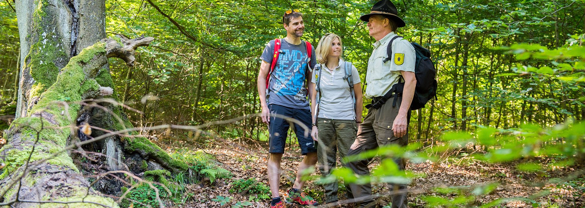 Ranger im Kellerwald