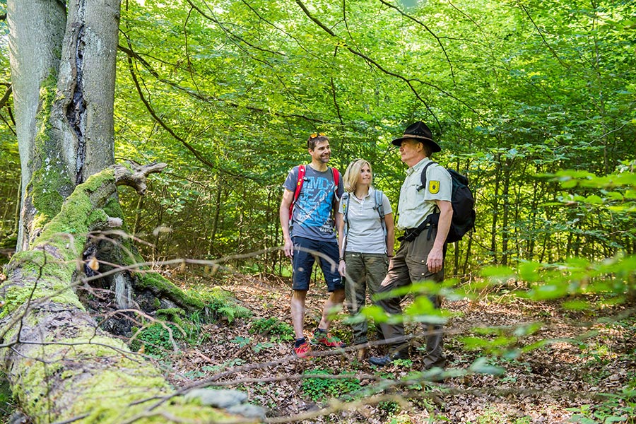 ranger tour edersee